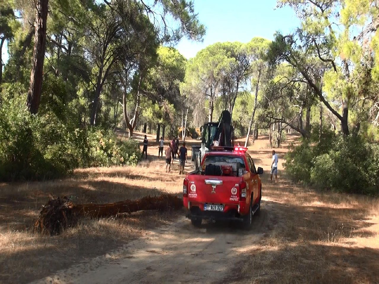 Sorgun ormanında 3 yeri ateşe veren sanık: Isınmak için ateş yaktım
