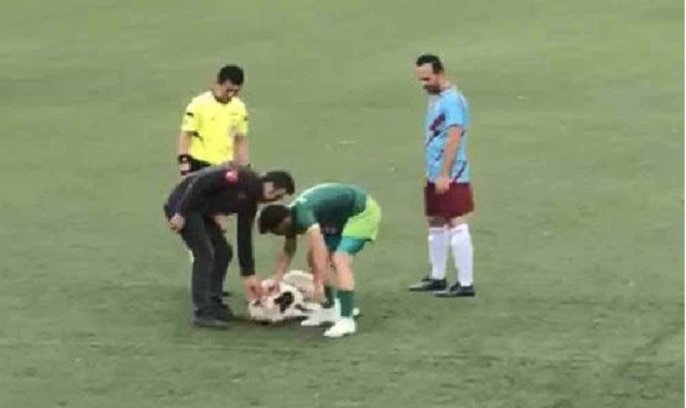 Bursa'da nefes kesen mücadeleye 'köpek' molası