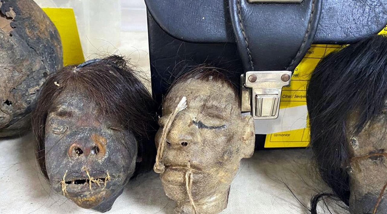 İzmir'de Jivaro yerlilerinin insan başları ele geçirildi