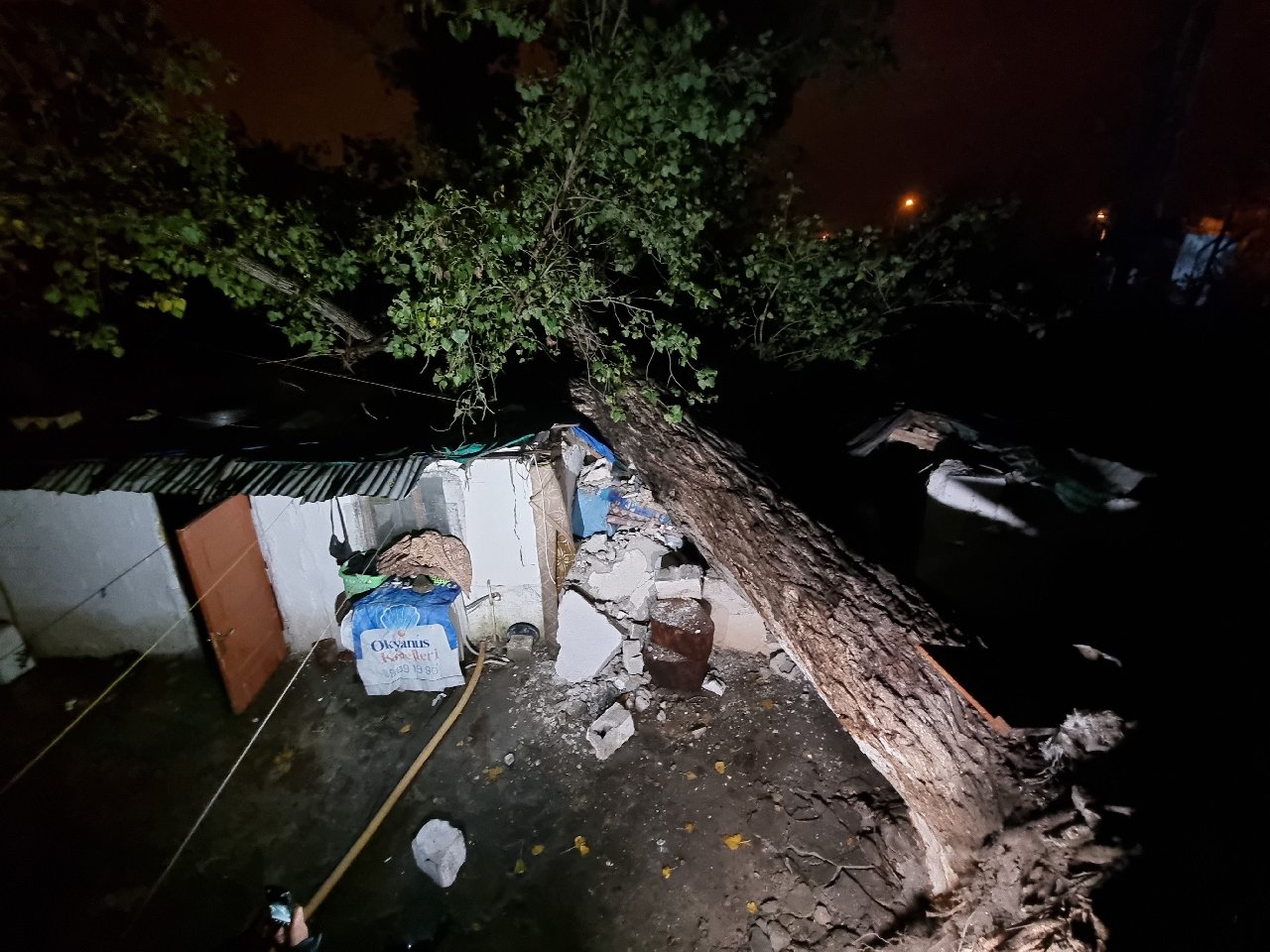 40 yaşındaki ağaç, iki müstakil evin üzerine devrildi