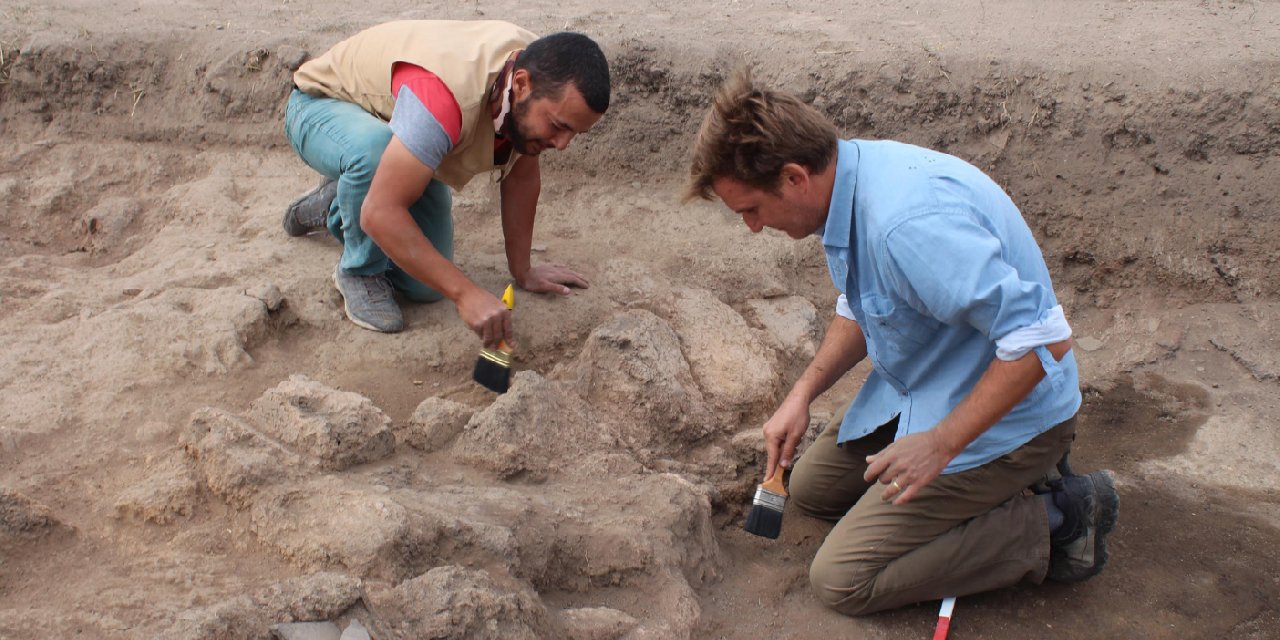 Tavşanlı Höyüğü'nde 'saray' tespit edildi