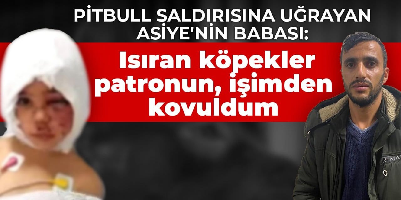 Pitbull saldırısına uğrayan Asiye'nin babası: Isıran köpekler patronun, işimden kovuldum