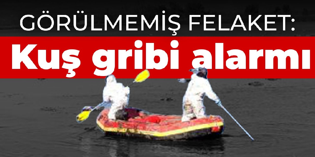 Görülmemiş felaket: Kuş gribi alarmı