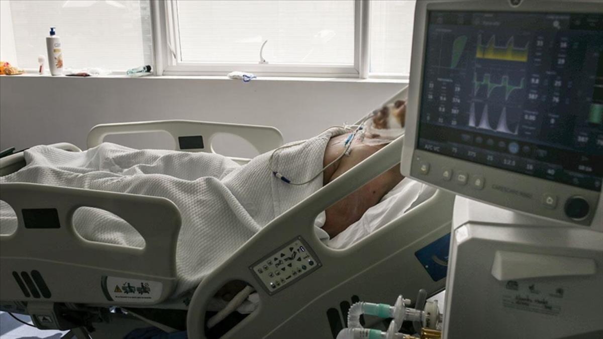 Prof. Tükek: Omicron Türkiye’de bu rakamlarla kalmayacak