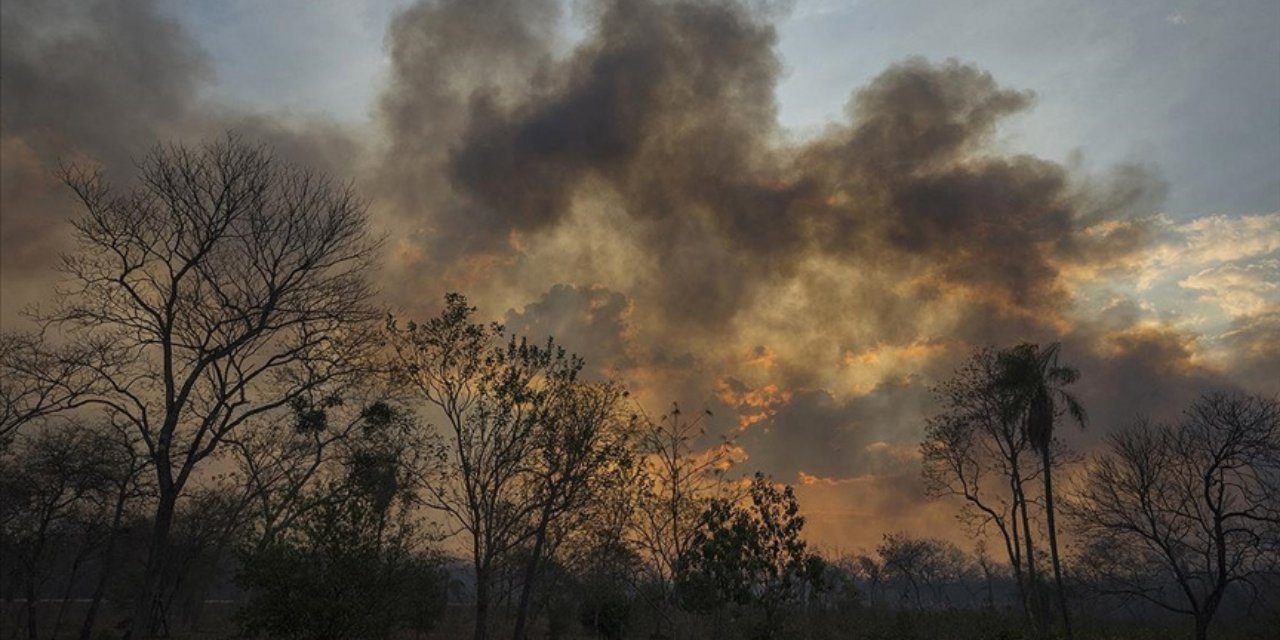 Arjantin'de orman yangını: Müdahale sürüyor