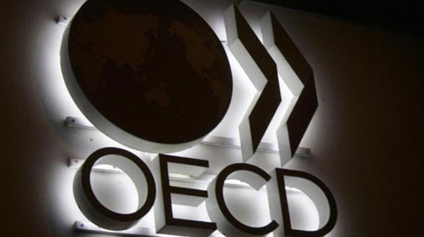 OECD: Türkiye'de kur ve enflasyon riski yüksek