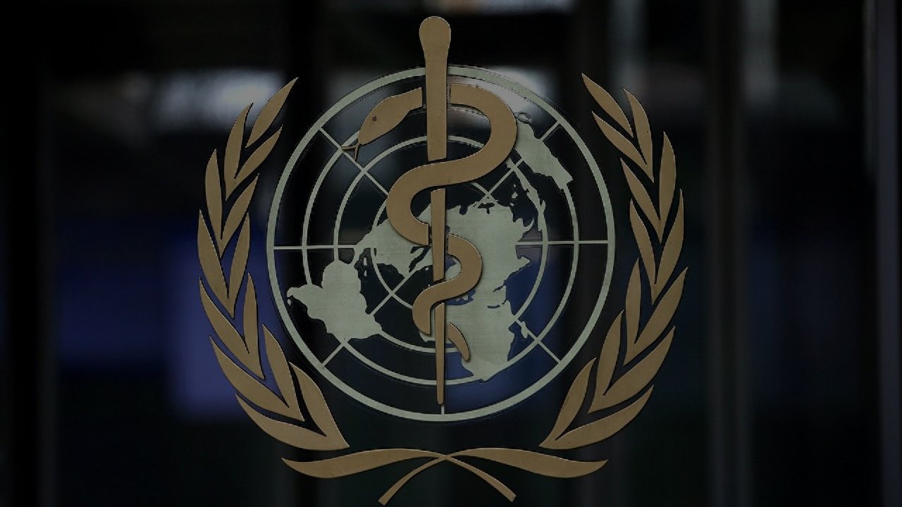 DSÖ: Ebola'dan ölenlerin sayısı 44'e yükseldi