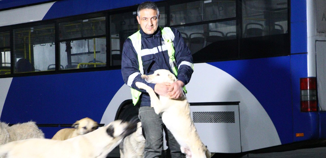 EGO şoförü Demir, topladığı yemeklerle 150 köpeğe bakıyor