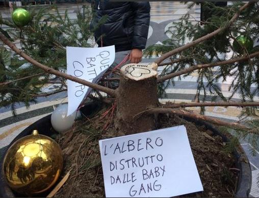 İtalya'da çarşıya süs amaçlı konulan yılbaşı ağacı çalındı!
