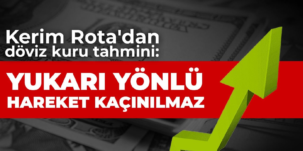 Kerim Rota'dan döviz kuru tahmini: Yukarı yönlü hareket kaçınılmaz