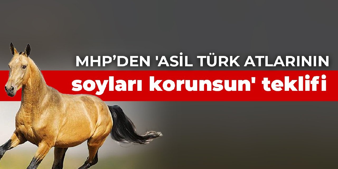 MHP’den 'Asil Türk atlarının soyları korunsun' teklifi