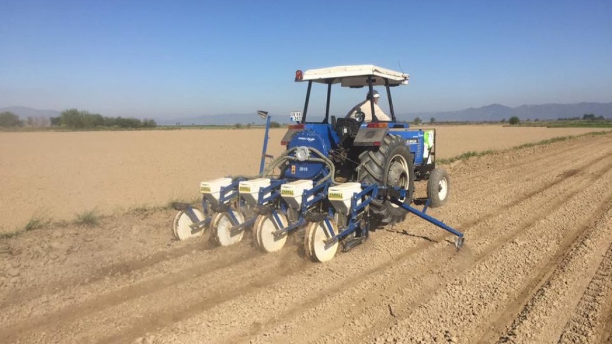Tarlasını ipotek ettiren çiftçi: Traktörümü bile sattım