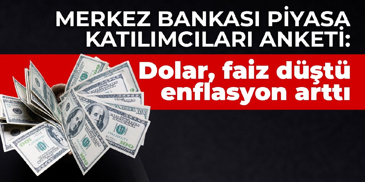 Merkez Bankası Piyasa Katılımcıları Anketi:  Dolar, faiz düştü enflasyon  arttı