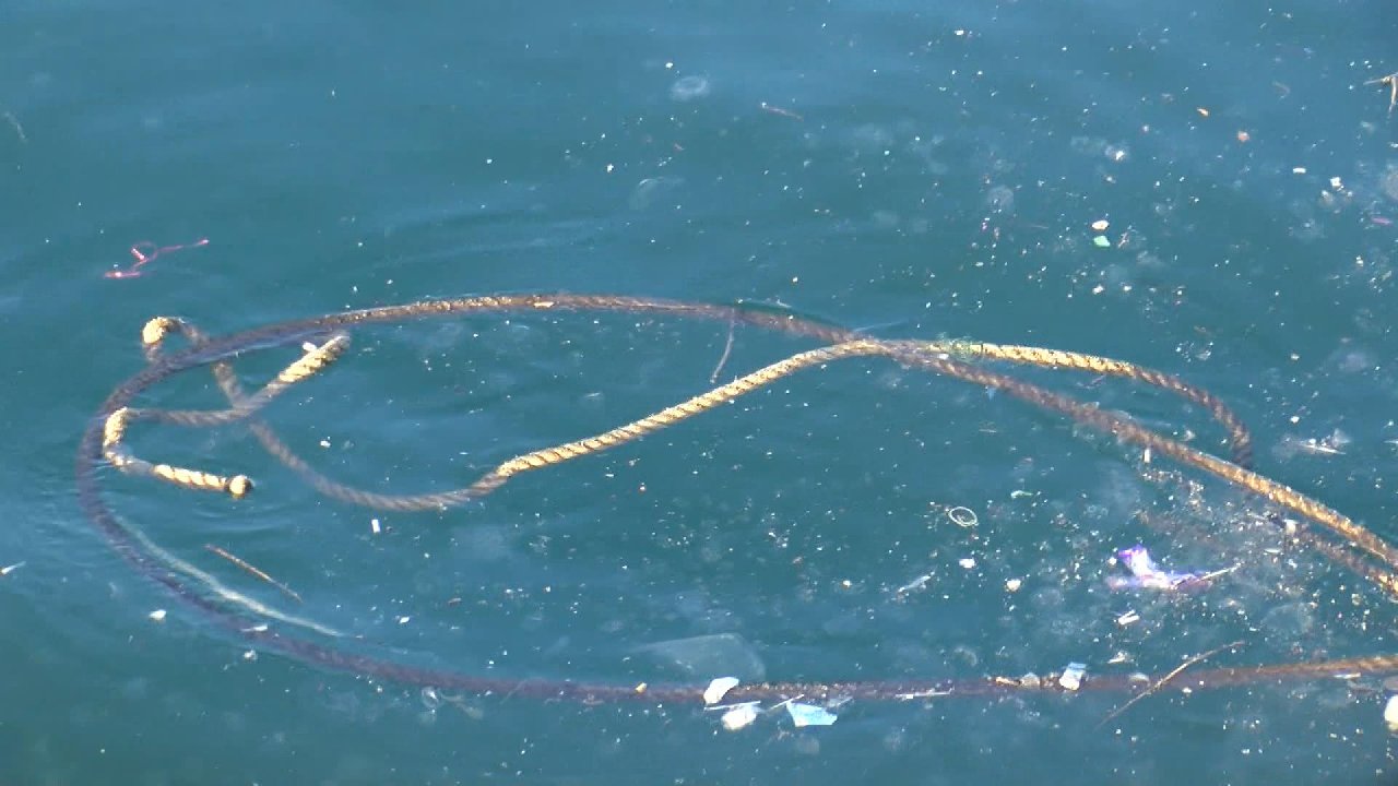 Denize düşen 2 kadın halata bağlanarak kurtarıldı