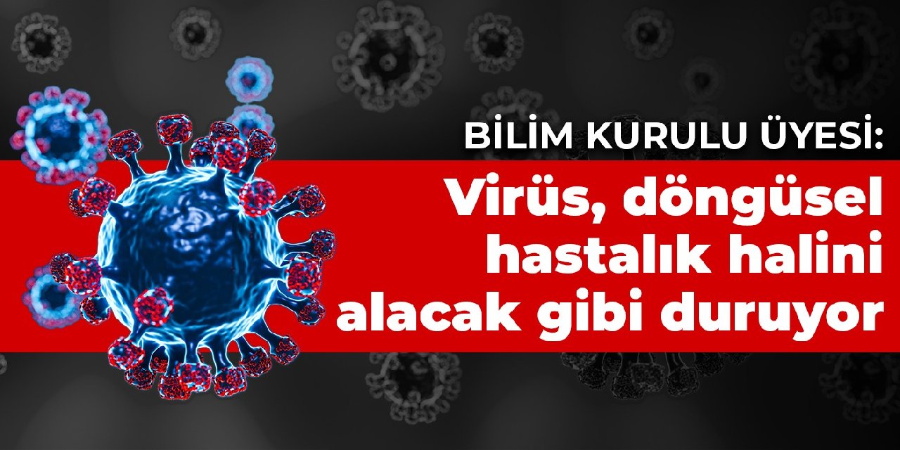 Bilim Kurulu Üyesi: Virüs, döngüsel hastalık halini alacak gibi duruyor