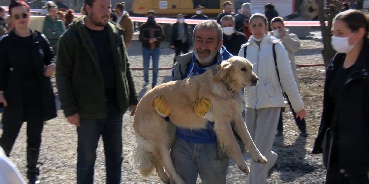 Ankara'da barınak yangını: 4 köpek öldü