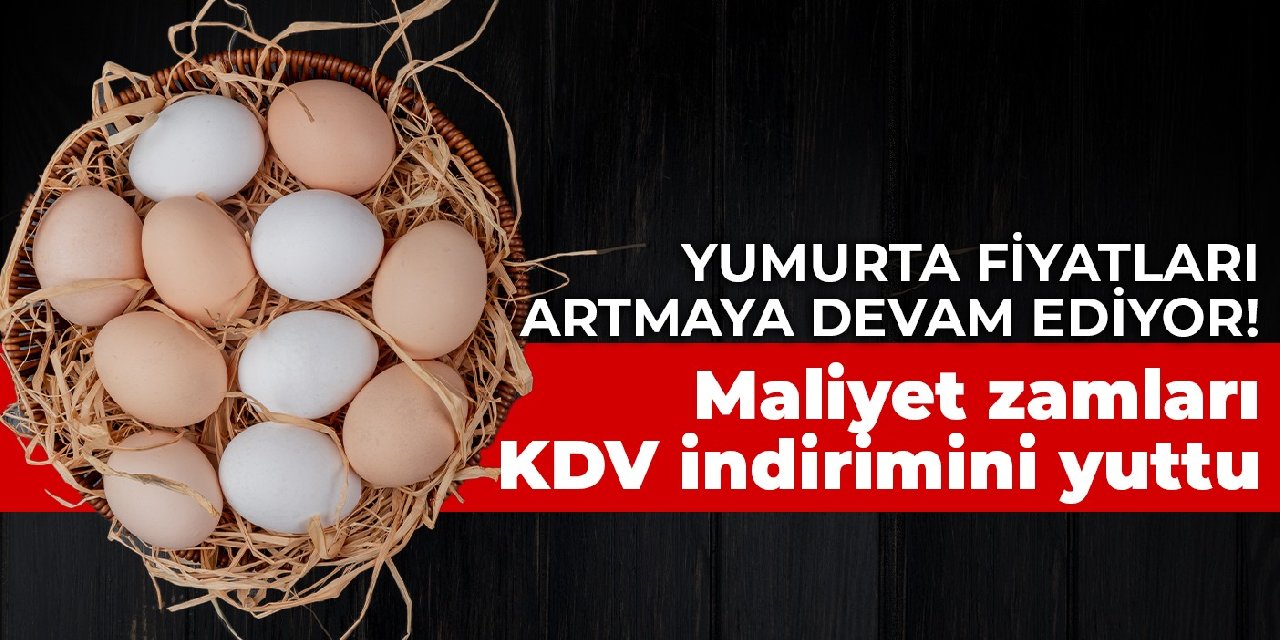 Yumurta fiyatları artmaya devam ediyor! Maliyet zamları KDV indirimini yuttu