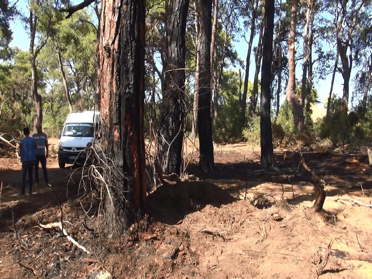 Ormanda yangın çıkaran sanığa 15 yıl + 25 bin lira ceza
