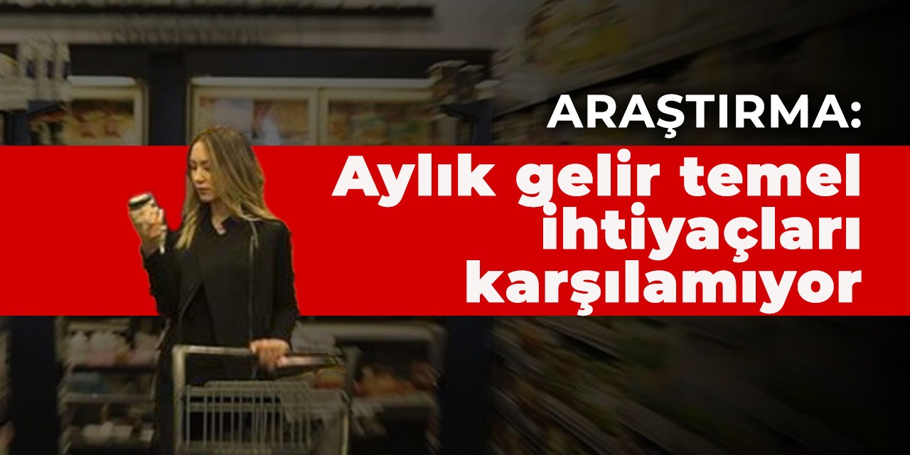 Araştırma: Aylık gelir temel ihtiyaçları karşılamıyor