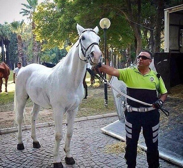 Sönmeyen meşaledir polis Fethi!