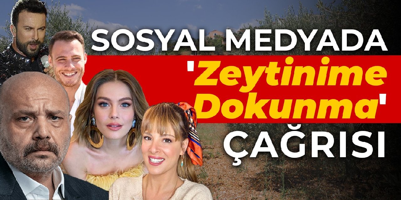 Sosyal medyada 'Zeytinime Dokunma' çağrısı