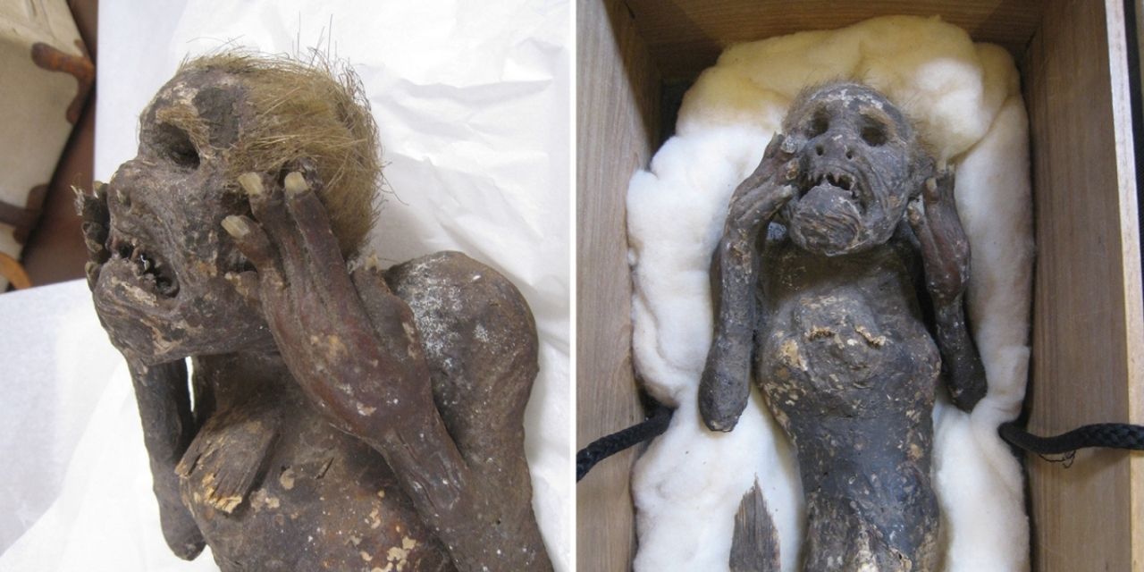 300 yılık denizkızının gizemi araştırılıyor