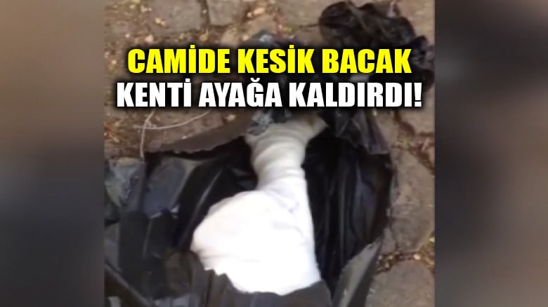 Camide kesik bacak bulundu, kent ayağa kalktı!