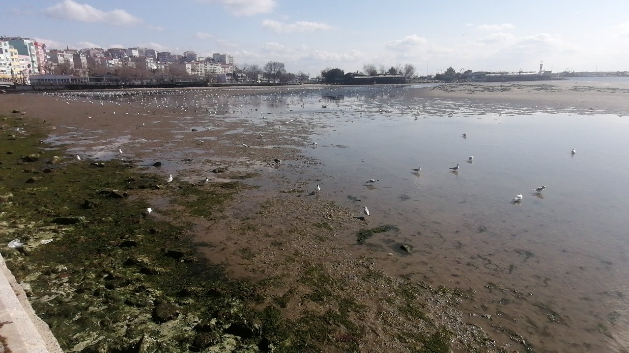 İstanbul'da korkutan görüntü! 200 çekildi...