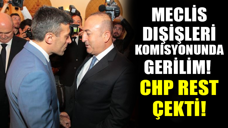 Meclis Dışişleri Komisyonunda gerilim! Yılmaz'dan Çavuşoğlu'na: Haddini bil!