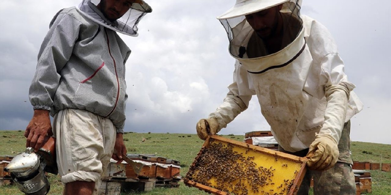 Arıcılara 16 bin ton ilave şeker desteği