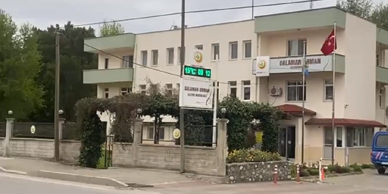 Dalaman Orman İşletme Müdürlüğü’ne 'rüşvet' operasyonu: 25 gözaltı