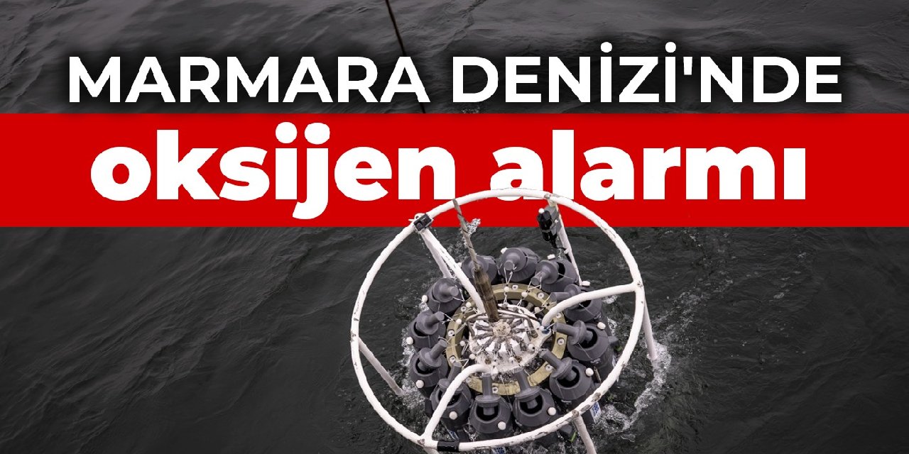 Marmara Denizi'nde oksijen alarmı
