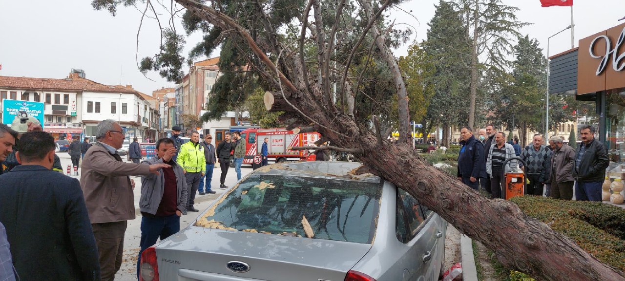 Fırtınada devrilen ağaç, otomobilin üzerine düştü