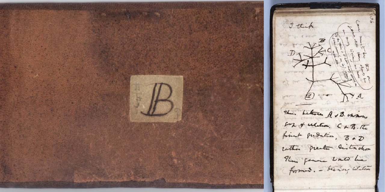 Darwin’in kayıp defterleri, 22 yıl sonra bulundu