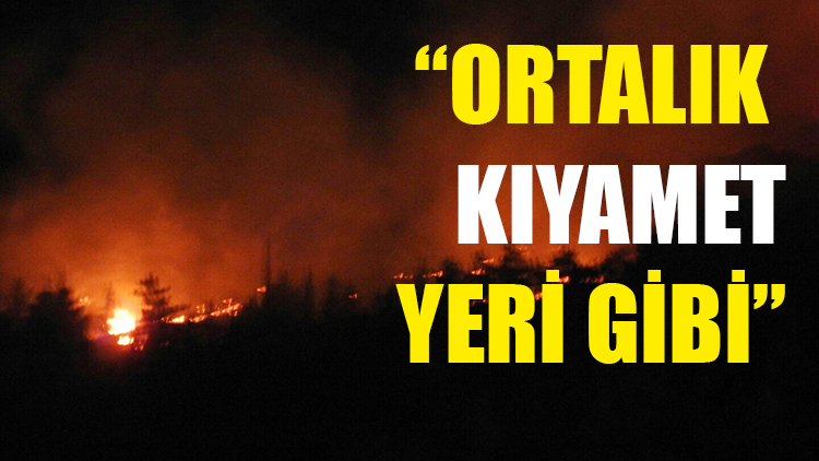 Son Dakika! TSK'dan Afrin'e ilk ateş
