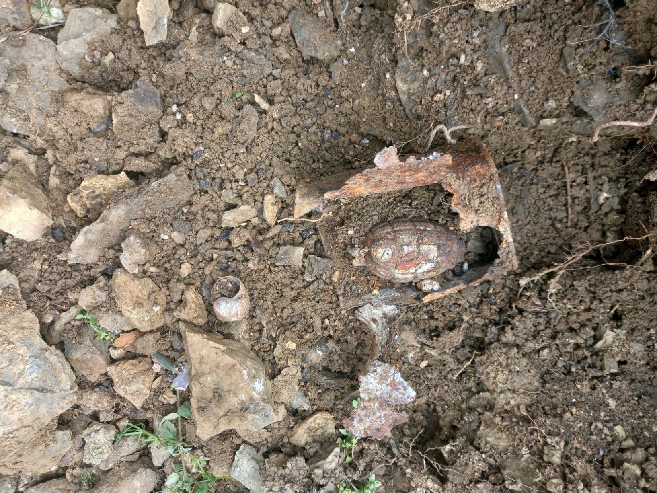 Bahçesini temizlerken el bombası buldu