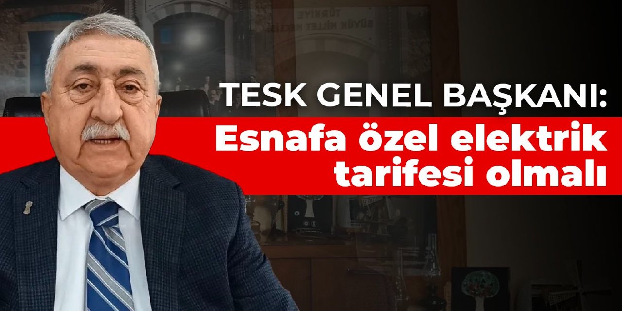 TESK Genel Başkanı: Esnafa özel elektrik tarifesi olmalı