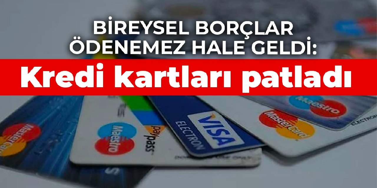 Bireysel borçlar ödenemez hale geldi: Kredi kartları patladı