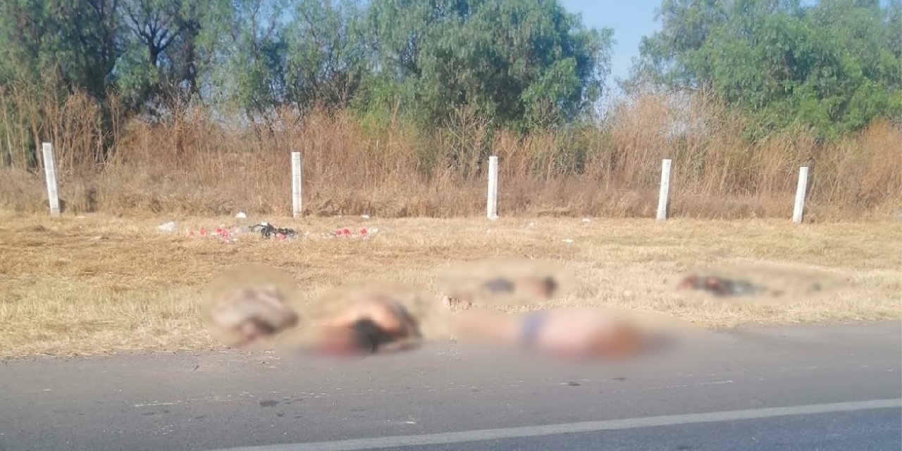 Meksika'da yol kenarında 6 ceset bulundu