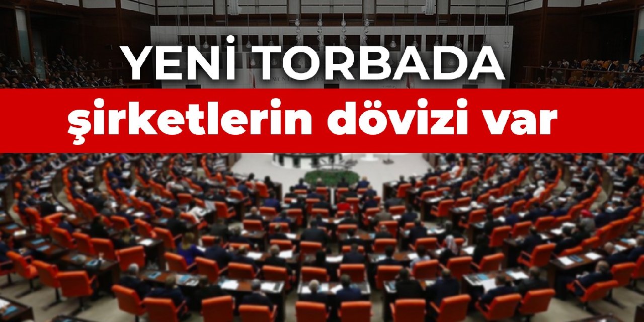 Döviz açığını kapatmak giderek zorlaşıyor! Yeni torbada şirketlerin dövizi var