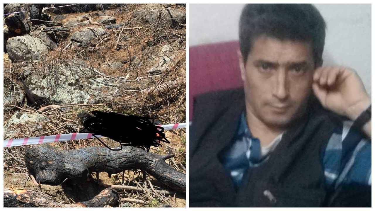 Kestiği ağacın altında kalıp hayatını kaybetti