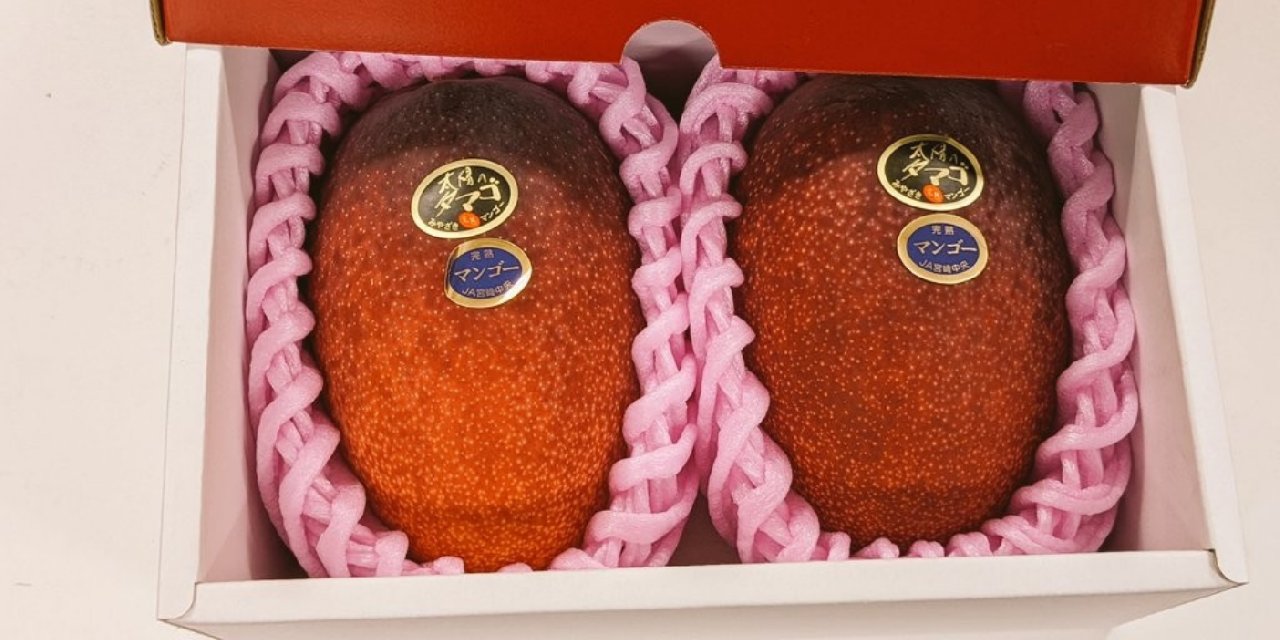 İki mango açık artırmada 58 bin 300 liraya satıldı