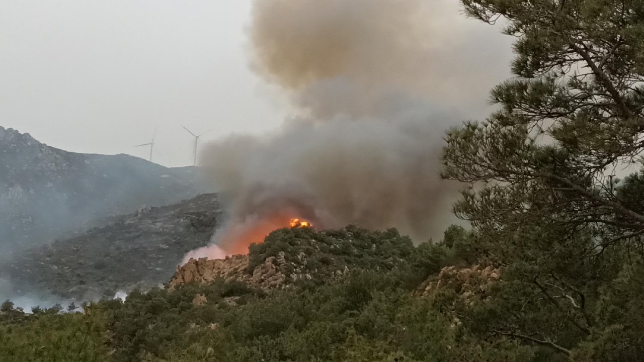 Bodrum'daki orman yangını kontrol altında