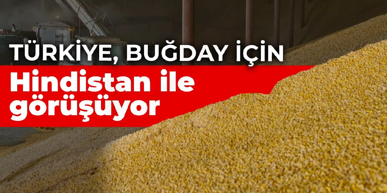 Türkiye, buğday için Hindistan ile görüşüyor