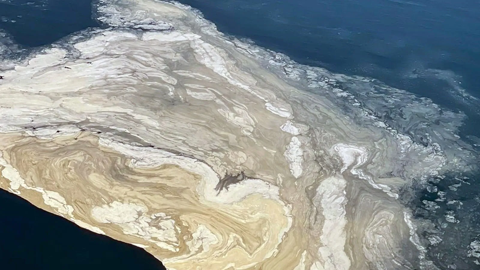 Bakan Kurum'dan 'müsilaj' duyurusu: Oksijen azalıyor