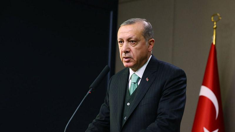 Erdoğan'dan Afrin operasyonu hakkında açıklamalar