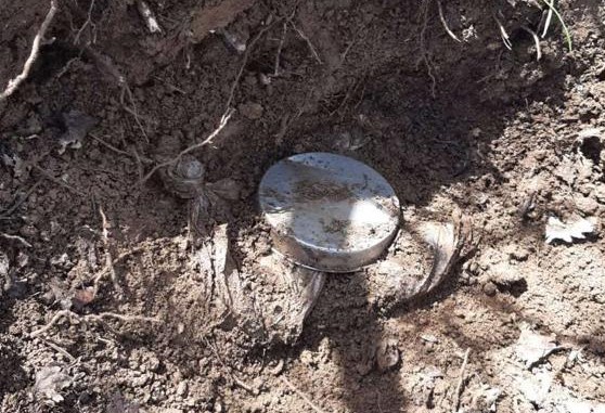 Muş'ta toprağa gömülü 12 kilo patlayıcı ele geçirildi