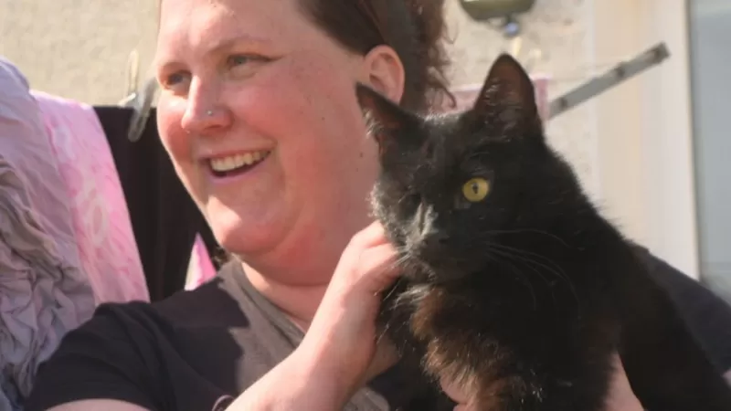 Beş yıl önce kaybolan kedi, kutup yolunda bulundu