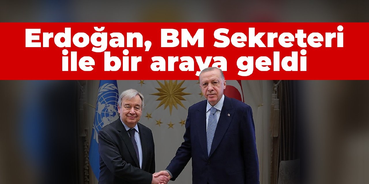 Erdoğan, BM Genel Sekreteri Guterres ile bir araya geldi