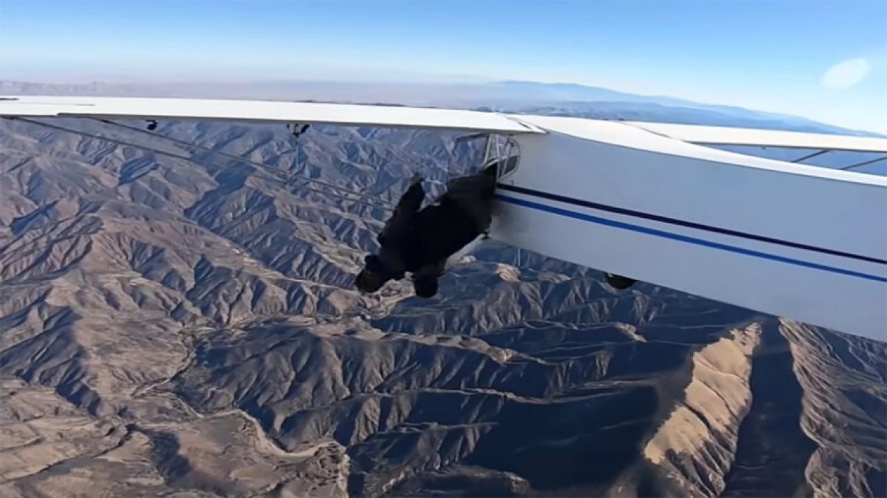 YouTuber, izlenme için kendi uçağını düşürdü